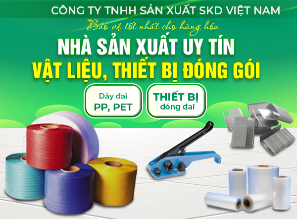 CÔNG TY TNHH SẢN XUẤT SKD VIỆT NAM